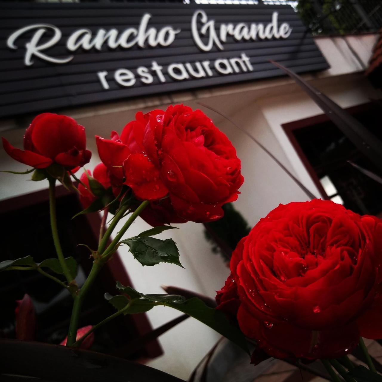 Rancho Grande Hotel บียา เฮเนรัล เบลกราโน ภายนอก รูปภาพ