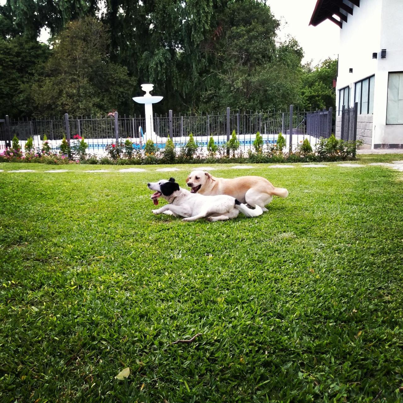 Rancho Grande Hotel บียา เฮเนรัล เบลกราโน ภายนอก รูปภาพ